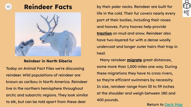 Reindeer Informational Text Reading Passage and Activities