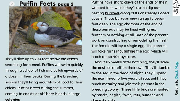 Puffins Informational Text Reading Passage and Activities