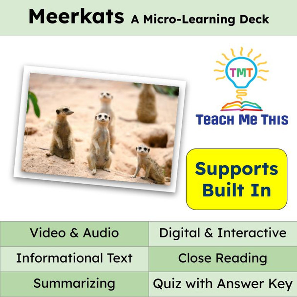 Meerkats Informational Text Reading Passage and Activities