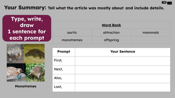 Mammals Informational Text Reading Passage and Activities