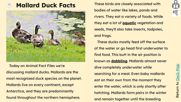 Ducks Informational Text Reading Passage and Activities