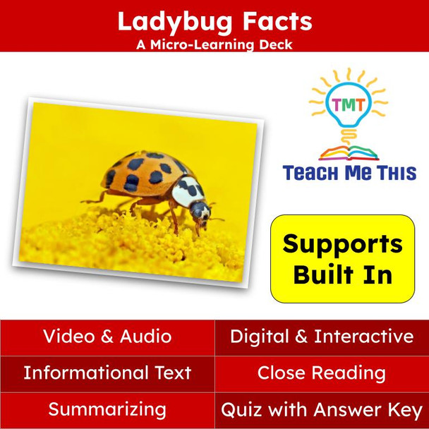 Ladybugs Informational Text Reading Passage and Activities