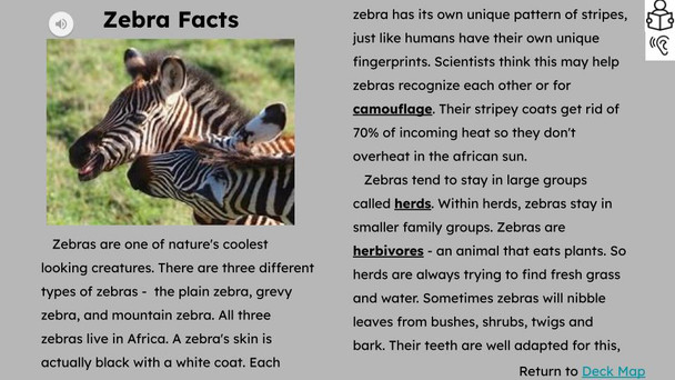 Zebras Informational Text Reading Passage and Activities