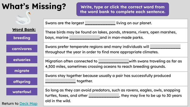 Swans Informational Text Reading Passage and Activities