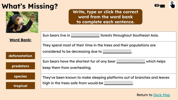 Sun Bears Informational Text Reading Passage and Activities