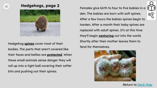 Hedgehogs Informational Text Reading Passage and Activities