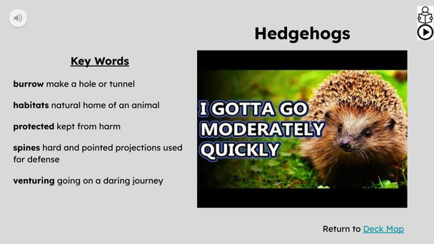 Hedgehogs Informational Text Reading Passage and Activities