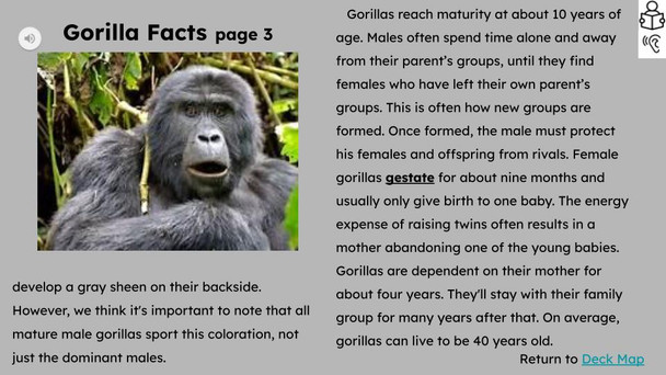 Gorillas Informational Text Reading Passage and Activities