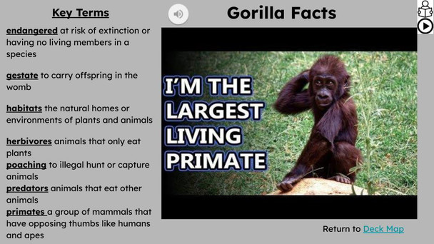 Gorillas Informational Text Reading Passage and Activities