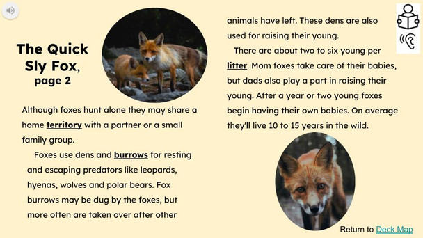 Foxes Informational Text Reading Passage and Activities