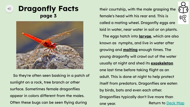 Dragonfly Informational Text Reading Passage and Activities