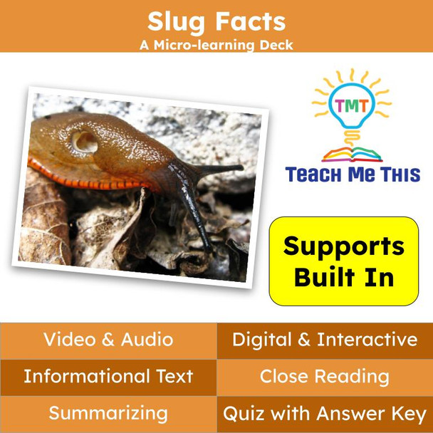 Slugs Informational Text Reading Passage and Activities