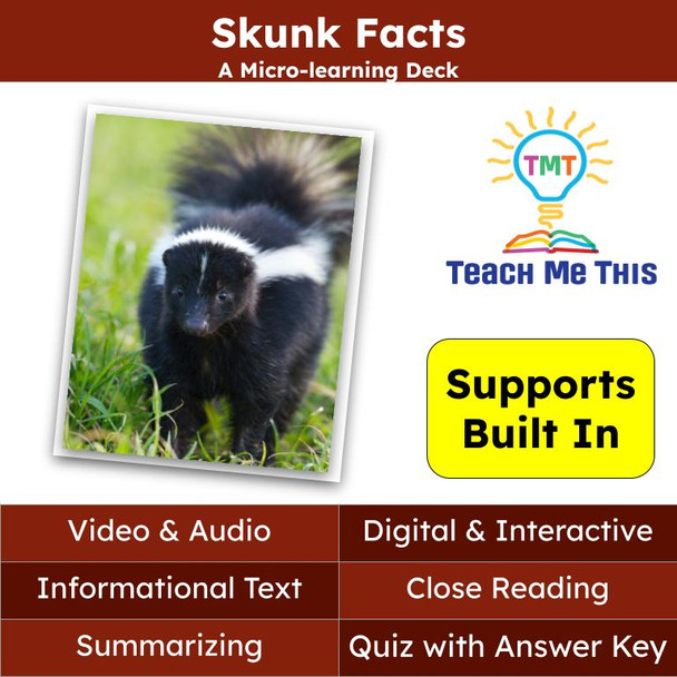 Skunks Informational Text Reading Passage and Activities