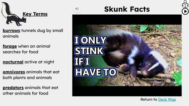 Skunks Informational Text Reading Passage and Activities