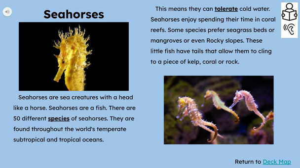 Seahorses Informational Text Reading Passage and Activities