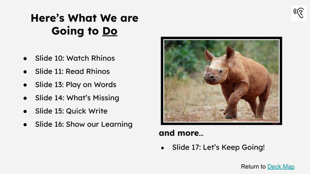 Rhinos Informational Text Reading Passage and Activities