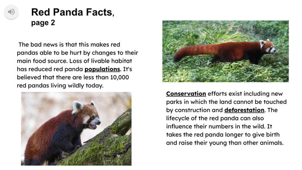 Red Pandas Informational Text Reading Passage and Activities