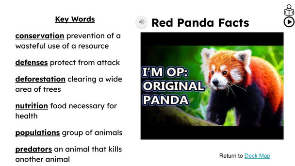 Red Pandas Informational Text Reading Passage and Activities