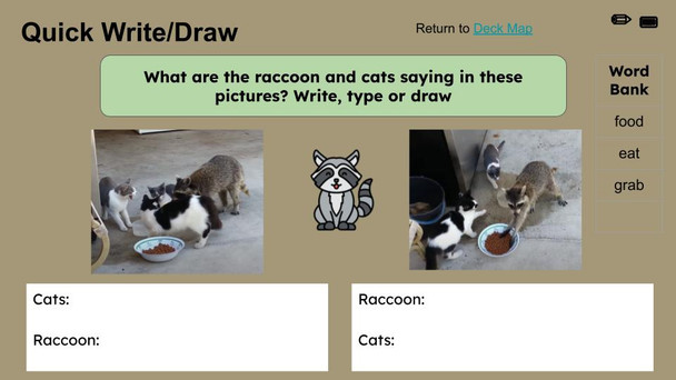 Raccoons Informational Text Reading Passage and Activities