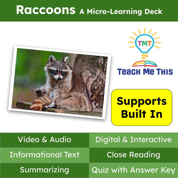 Raccoons Informational Text Reading Passage and Activities