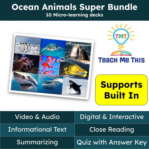 Ocean Animals Informational Text Reading Passage and Activities BUNDLE