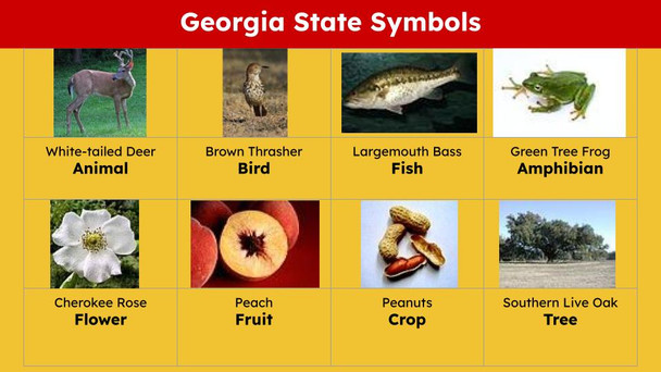 Georgia (50 States and Capitals) Informational Text and Activities