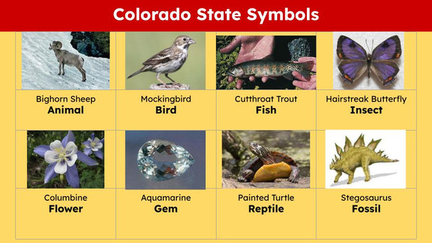 Colorado (50 States and Capitals) Informational Text and Activities