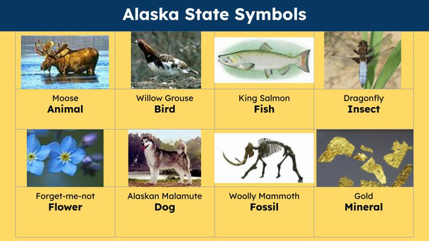 Alaska (50 States and Capitals) Informational Text and Activities