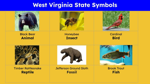 West Virginia (50 States and Capitals) Informational Text and Activities