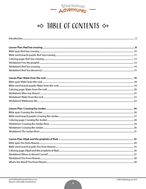 Miracles of the Bible Activity Book