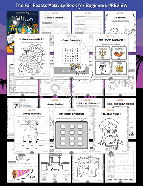The Fall Feasts Activity Book for Beginners