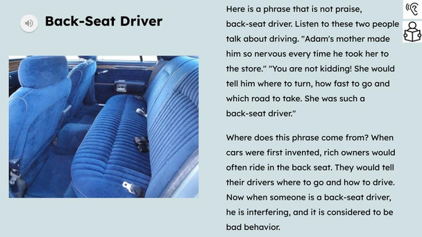 Back Seat Driver Figurative Language Reading Passage and Activities