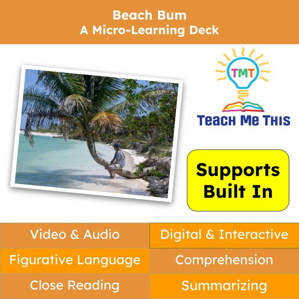 Beach Bum Figurative Language Reading Passage and Activities
