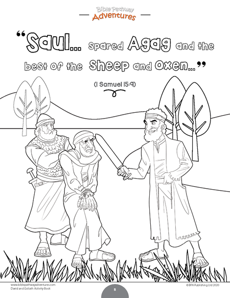 David and Goliath Activity Book