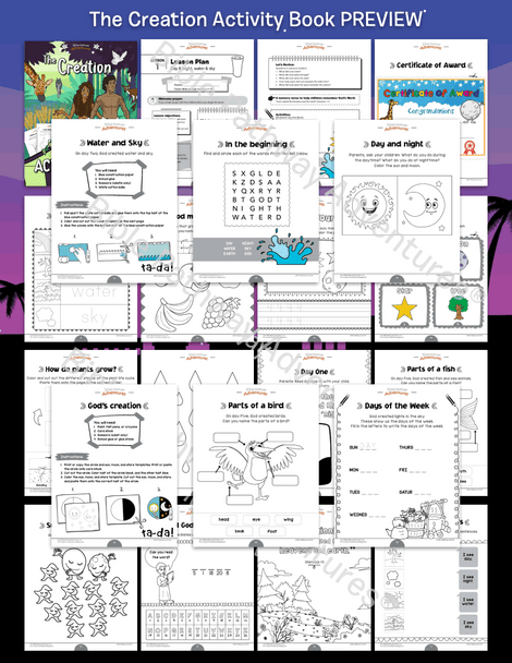 The Creation Activity Book for Beginners