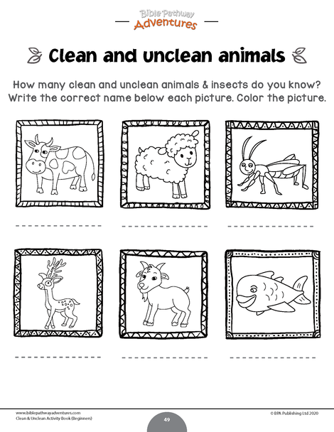 Clean and Unclean Coloring Activity Book