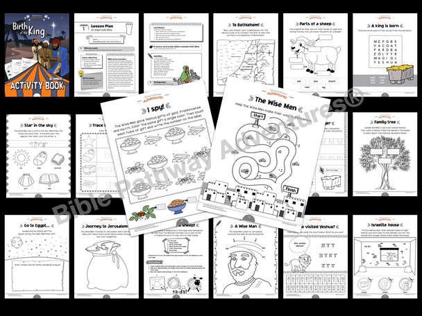 Birth of the King Activity Book for Beginners