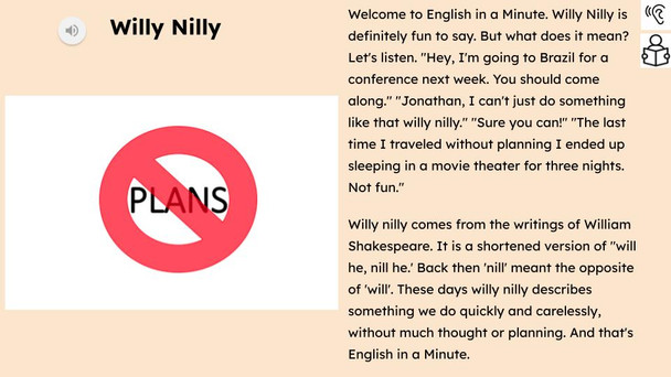 Willy Nilly Figurative Language Reading Passage and Activities