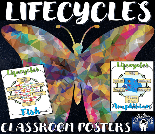 SCIENCE: Animal Lifecycles - 8 Taxonomic Groups, 8 Posters (Color and Black and White)