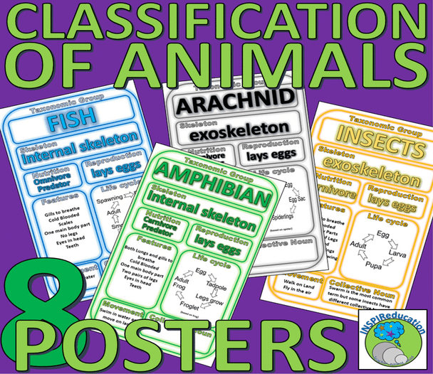 Classification of Animals: Taxonomic Groups - 8 Animals Groups, 8 Posters