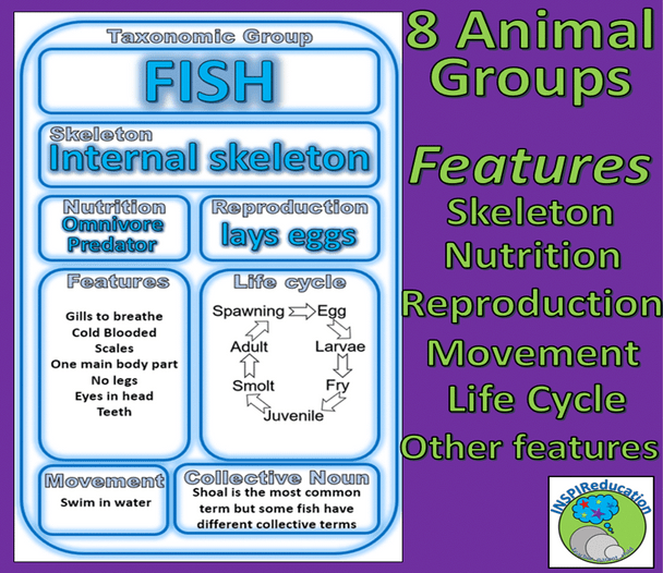 Classification of Animals: Taxonomic Groups - 8 Animals Groups, 8 Posters