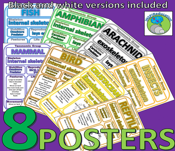 Classification of Animals: Taxonomic Groups - 8 Animals Groups, 8 Posters