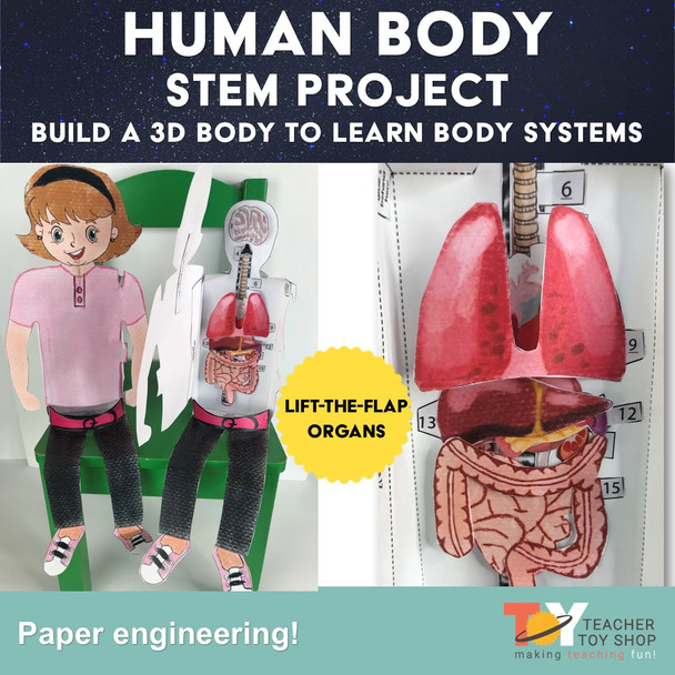 Human Body Systems STEM Project