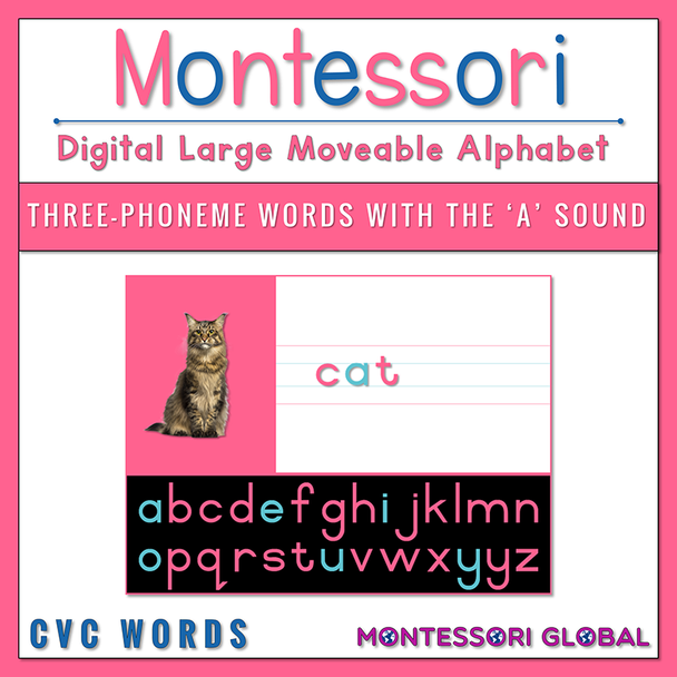 These digital Montessori Large Moveable Alphabet focus on decoding 3-letter CVC words with the vowel sounds and is available in 2 different digital formats:

 

1. PowerPoint Presentation

2. Boom Cards™

 
