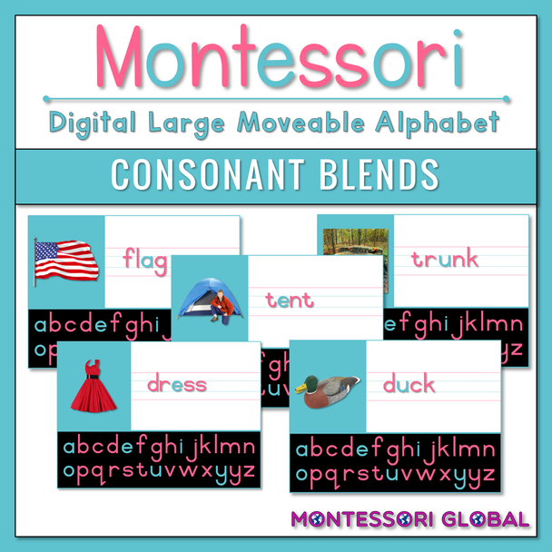 This digital Montessori Large Moveable Alphabet focuses on decoding words with a initial, final, initial with final consonant blends, double consonants, and final "ck" and is available in 2 different digital formats:

1. PowerPoint Presentation

2. Boom Cards™