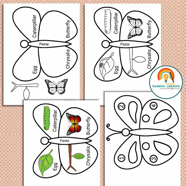 Butterfly Life Cycle Craft | Butterfly Craft | Life Cycle of a Butterfly Craft | Spring Activities