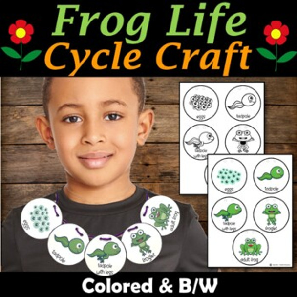 life cycle of a frog necklace