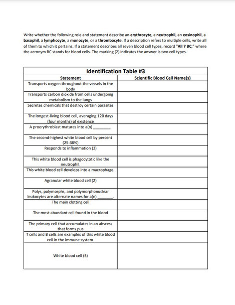 Blood Cell Identification Table Series