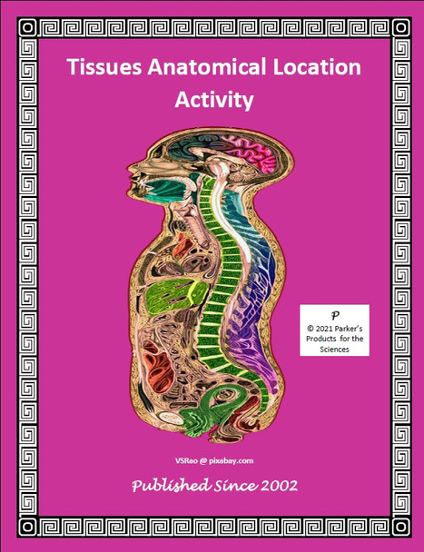 Tissues Anatomical Location Activity