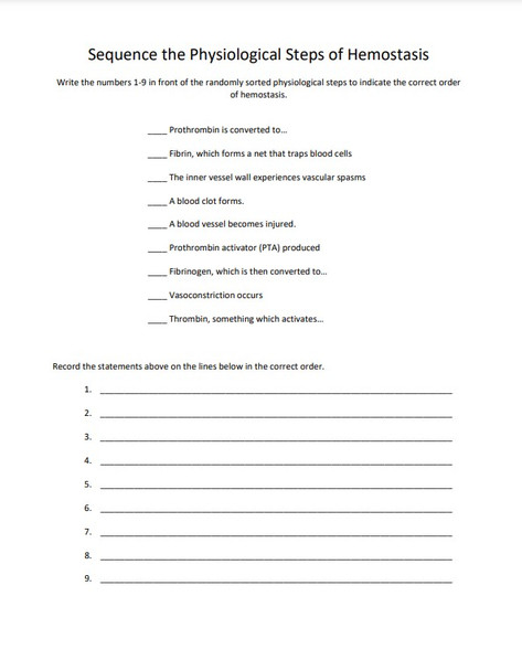 Hemostasis Worksheet (Blood Clotting Process)